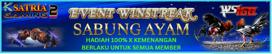 event winstreak sambung ayam